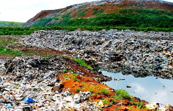 Загрязненные земли Приморский край