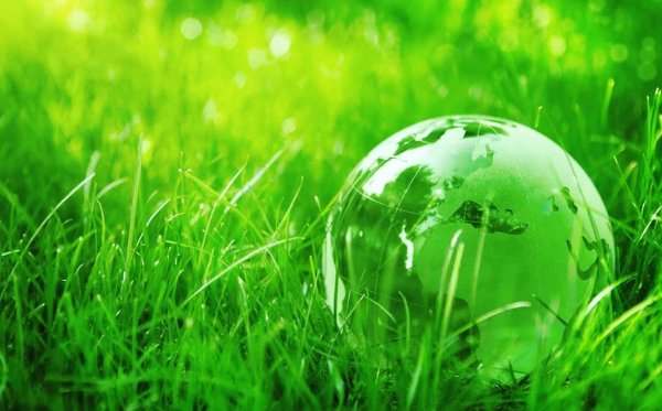 Зеленая Планета