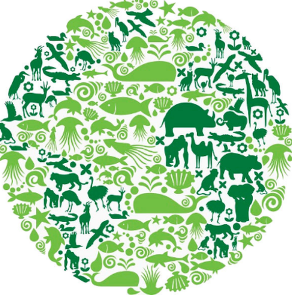 Экология вектор