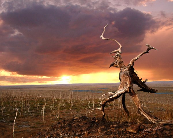 Смерть природы