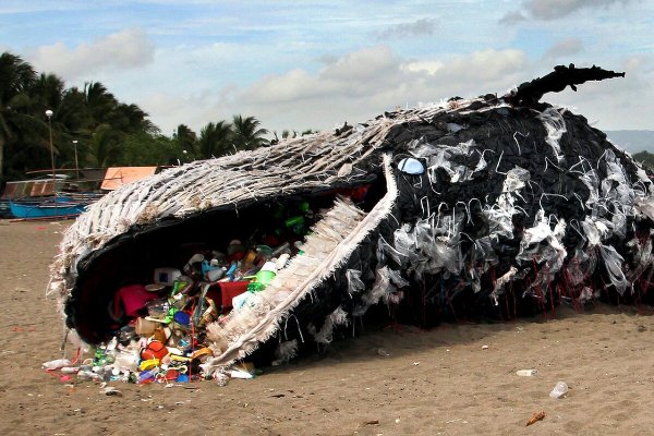 Животные и пластиковый мусор