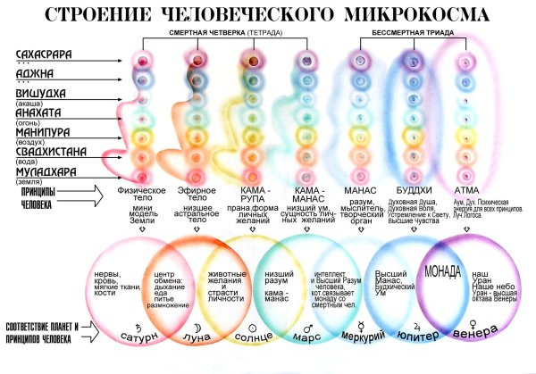 Структура тонких тел человека
