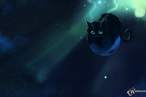Кошка арт
