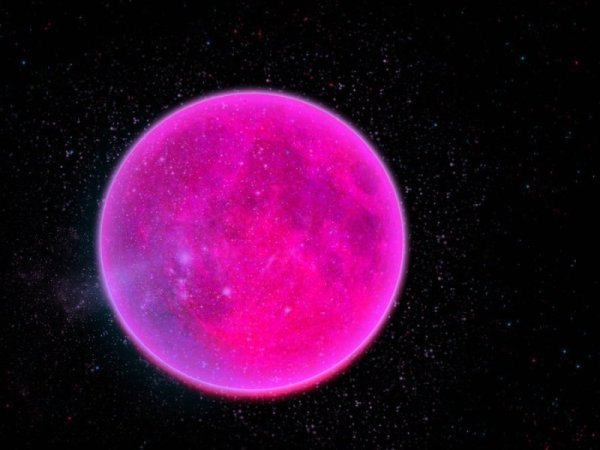 Новая Планета розовая