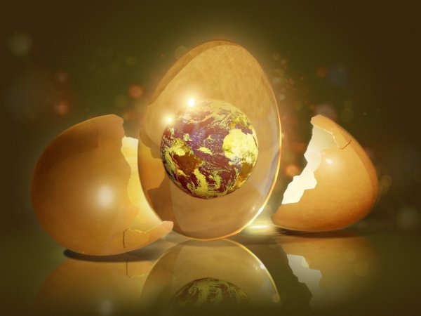 Яйцо рассказ Энди Вейр