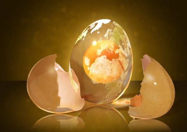 Яйцо рассказ Энди Вейр