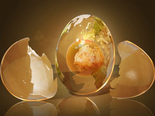 Разбитое яйцо