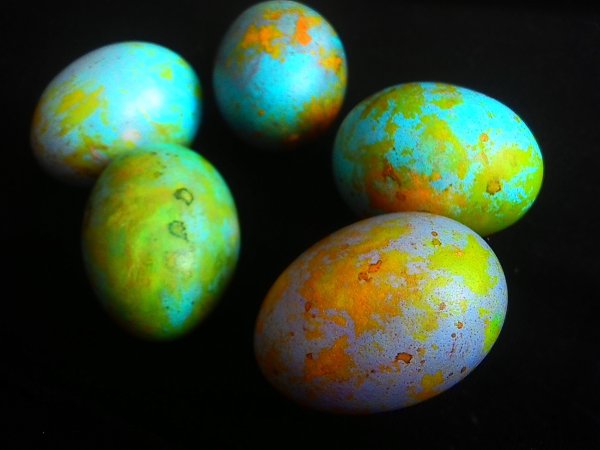 Космические яйца