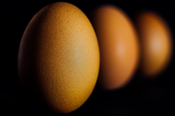 Яйцо на темном фоне