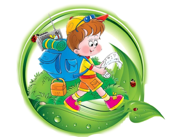 Игра Юный натуралист