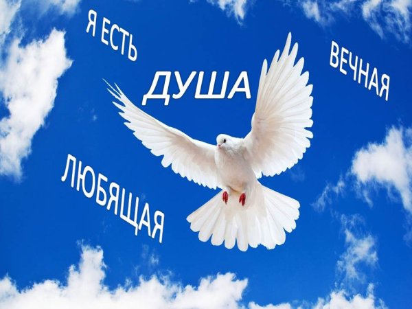 Мирное небо