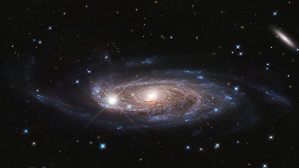 Галактика Андромеды в телескоп Хаббл