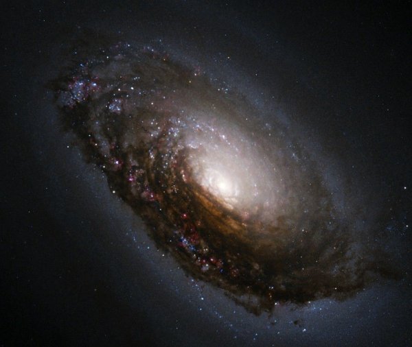 Галактика спящая красавица она же Галактика чёрный глаз