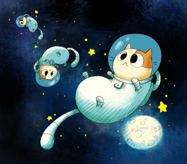 Котик в космосе арт