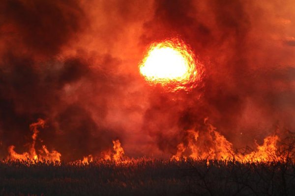 Пожар на земле