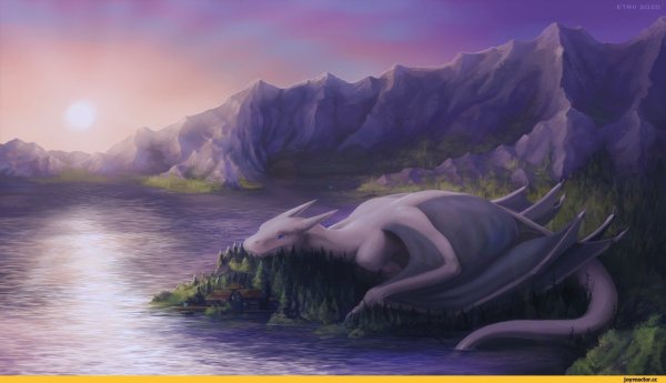 Спящий дракон арт