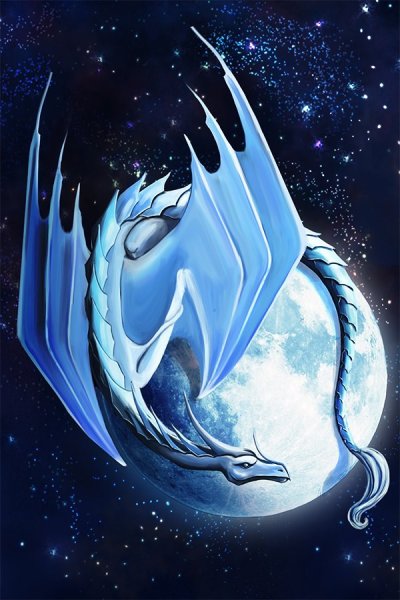 Драконы ночи