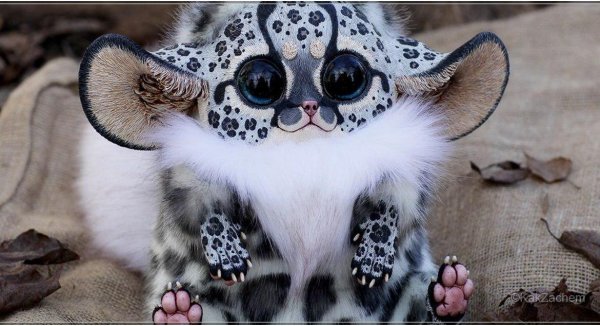 Необычные экзотические животные