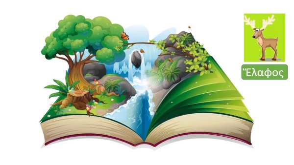 Краеведение для детей