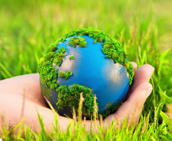 Природа экология