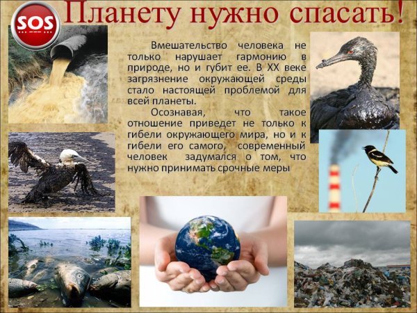 Охрана природы человеком