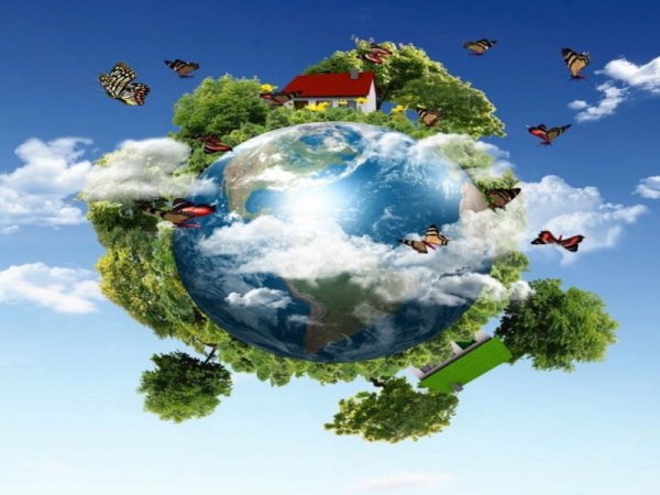 Окружающая среда