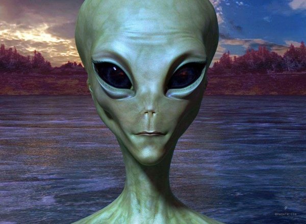 «Пришельцы из космоса?» Тима Шоукросса