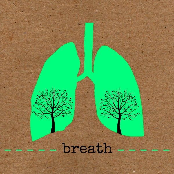 Легкие дерево