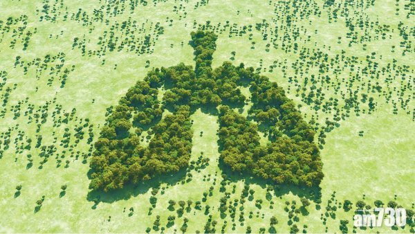 Лес легкие планеты