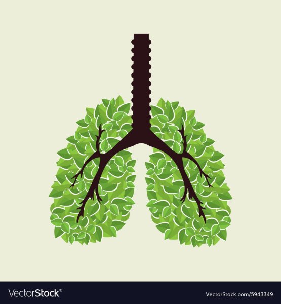 Здоровые легкие планеты