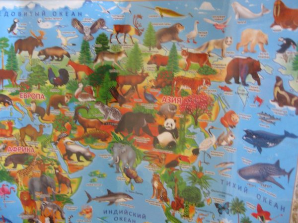 Животный и растительный мир планеты