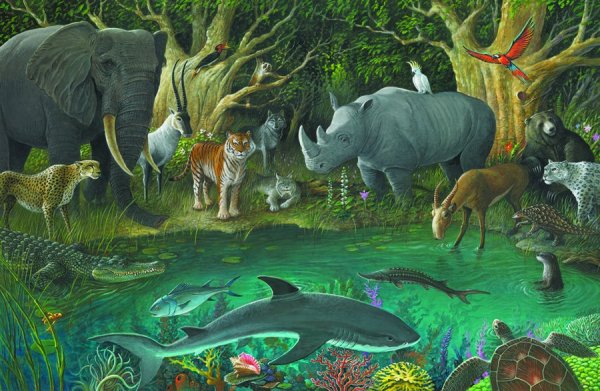 Вымирание животных и растений