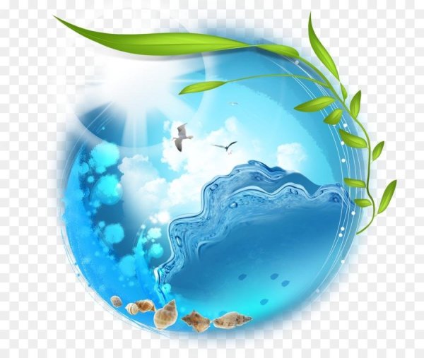 Экология воды