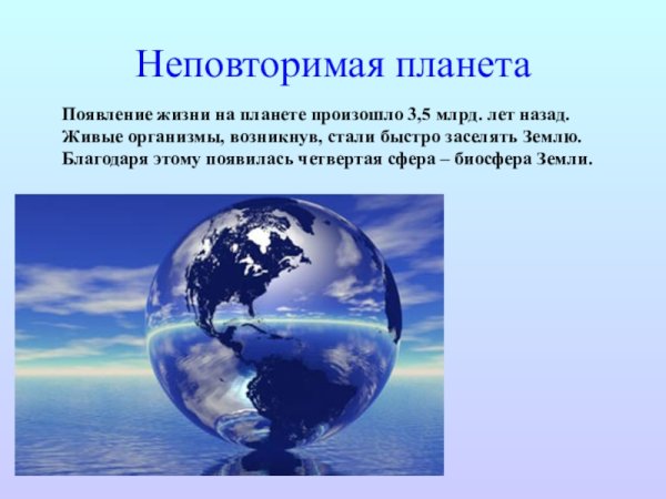 Оболочка жизни на земле