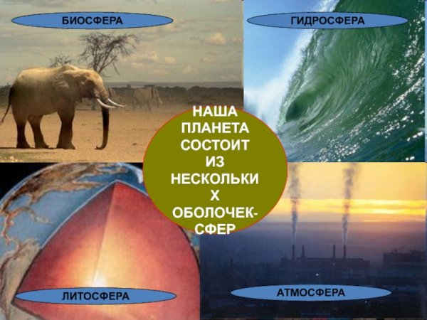 Сфера литосфера Биосфера гидросфера