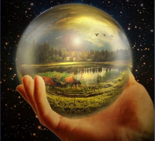 Биосфера нашей планеты