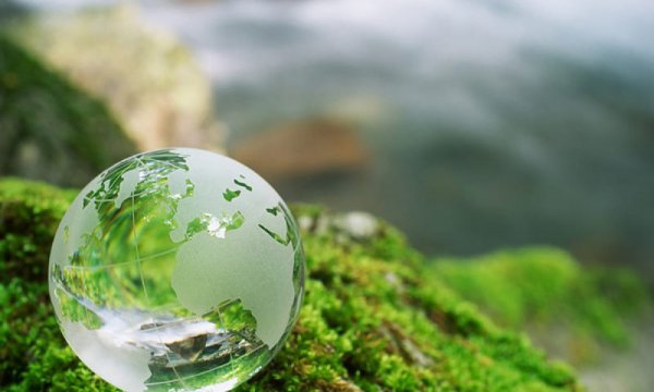 Экосистема это в экологии