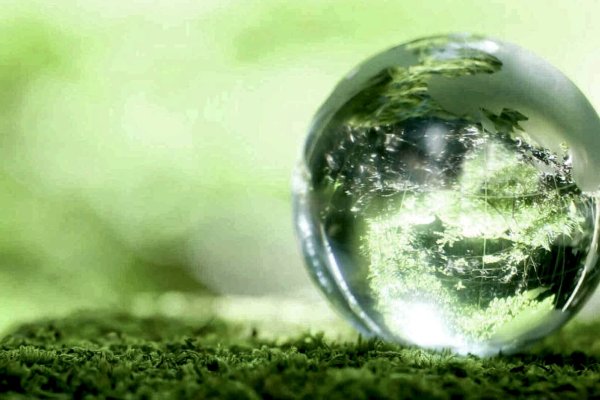 Баннер экология