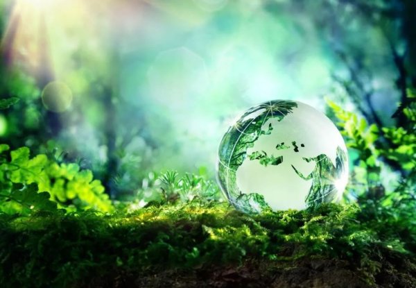 Зеленая Планета экология