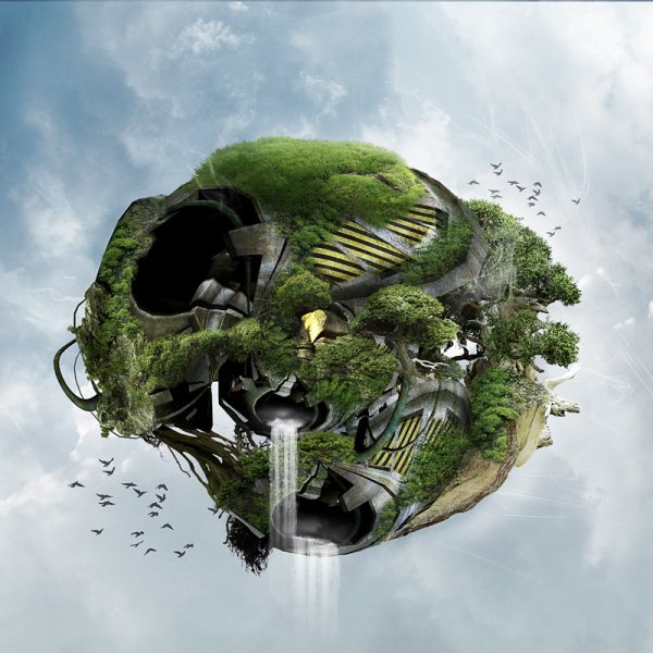 Экосистемы и ландшафты