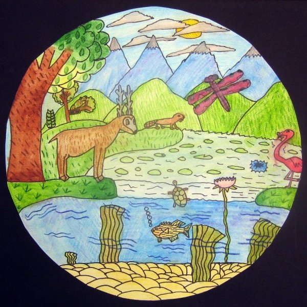 Экосистема рисунок