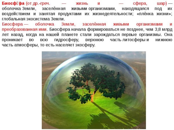 Биогеохимия Вернадский