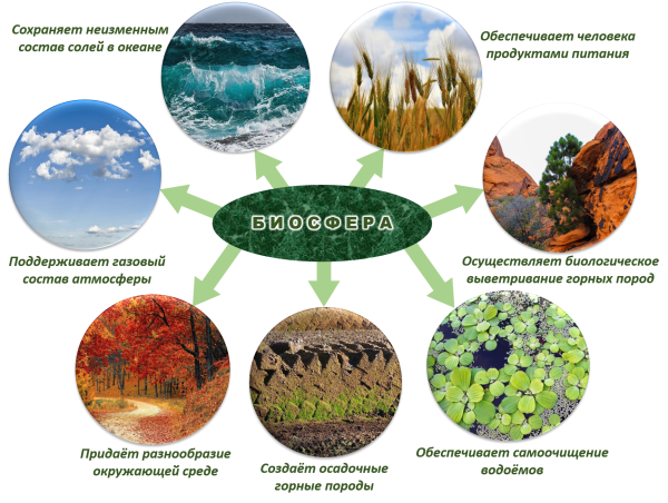 Связь биосферы с другими оболочками земли схема