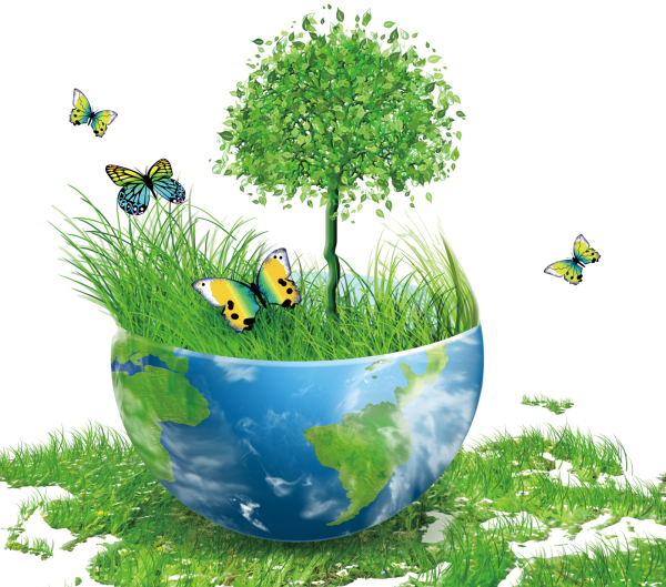 Экология для дошкольников