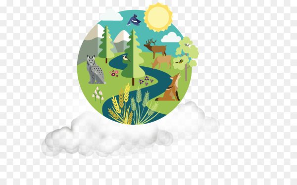 Экологическое разнообразие