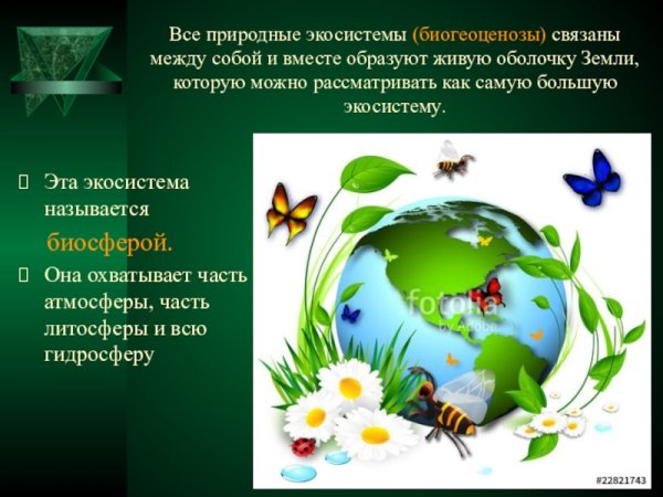 Природные экосистемы