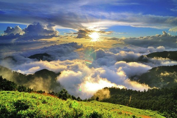 Прекрасный мир природы