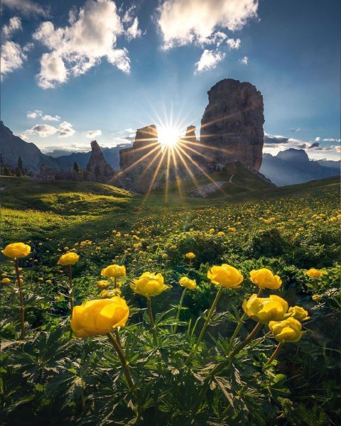 Чудесный мир