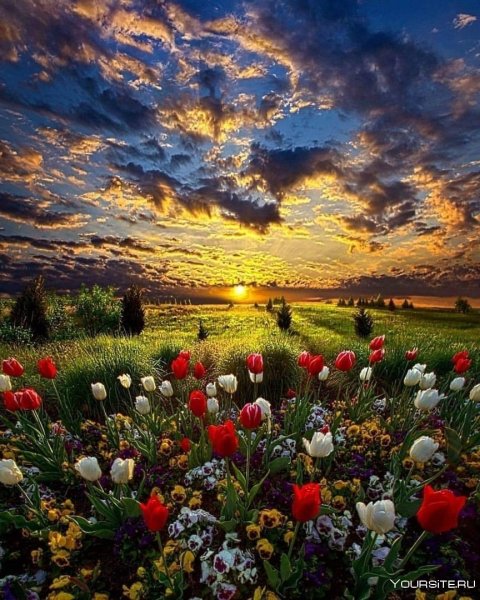 Чудесные пейзажи