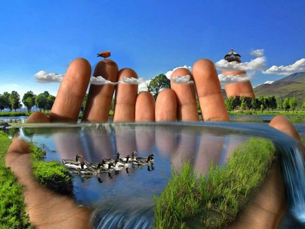 Человек и природа